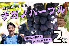 【先行予約】<令和7年産>飯山市産 ナガノパープル2房（約900g以上）(7-A31)