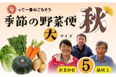 【先行予約】～旬っていちばんのごちそう～ひぐらし農場 季節の野菜便（秋）大サイズ（7-A38）