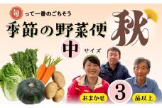 【先行予約】～旬っていちばんのごちそう～ひぐらし農場 季節の野菜便（秋）中サイズ（7-A37）