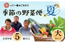 【期間限定】～旬っていちばんのごちそう～ひぐらし農場 季節の野菜便（夏）大サイズ（7-A36）