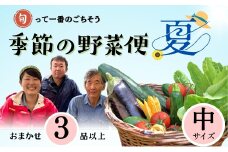 【期間限定】～旬っていちばんのごちそう～ひぐらし農場 季節の野菜便（夏）中サイズ（7-A35）