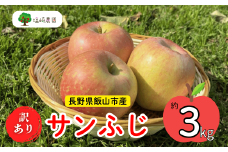 【先行予約】 【訳あり】サンふじ 【約3kg(6〜14玉）（2025年産）りんご サンふじ 訳あり 規格外 直送 好評 (7-A39-1)