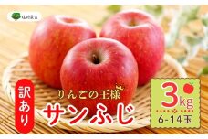 【先行予約】 【訳あり】サンふじ 約3kg (6〜14玉）（2025年12月中旬から発送）りんご サンふじ 訳あり 規格外 直送 好評 (7-A39-1)