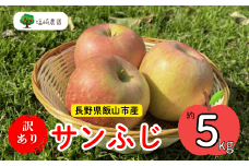 【先行予約】 【訳あり】サンふじ 【約5kg(11〜20玉）（2025年産）りんご サンふじ 訳あり 規格外 直送 好評 (7-A39-2)