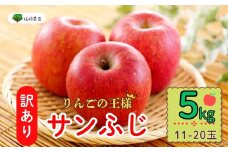 【先行予約】 【訳あり】サンふじ 約5kg(11〜20玉）（2025年12月中旬から発送）りんご サンふじ 訳あり 規格外 直送 好評 (7-A39-2)