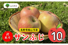 【先行予約】 【訳あり】サンふじ 【約10kg(22〜40玉）（2025年産）りんご サンふじ 訳あり 規格外 直送 好評 (7-A39-3)