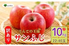 【先行予約】 【訳あり】サンふじ 約10kg(22〜40玉）（2025年12月中旬から発送）りんご サンふじ 訳あり 規格外 直送 好評 (7-A39-3)