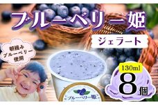 手作りジェラート ブルーベリー姫 ８個 （Br-001）信州産牛乳 信州 アイス スイーツ ひんやりスイーツ おやつ デザート ブルーベリー