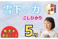 【先行予約】 <令和７年産 新米>雪下の力 こしひかり 無洗米 5kg 真空パック（7-51）