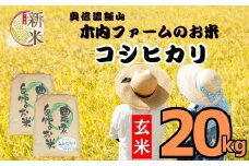 【先行予約】<令和７年産> コシヒカリ 玄米 20㎏  ＜2025年9月中旬より発送＞ 奥信濃飯山～木内ファームのお米～  (7-30B)