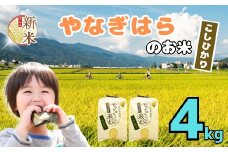 【先行予約】＜令和7年産新米＞ 特別栽培米  「やなぎはらの米 こしひかり」4㎏ (7-66)