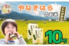 【先行予約】＜令和7年産新米＞ 特別栽培米 「やなぎはらの米 こしひかり」10㎏ (7-68)