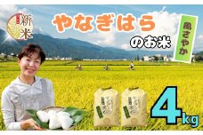 【先行予約】＜令和7年産新米＞　特別栽培米「やなぎはらの米　風さやか」4㎏ (7-69)