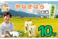 【先行予約】＜令和7年産新米＞  特別栽培米 「やなぎはらの米 風さやか」10㎏ (7-71)