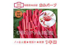 ＜八ヶ岳山麓★茅野市産＞朝採れ・新鮮な赤いルバーブ1Kg=手作りジャムにオススメ!【1413721】