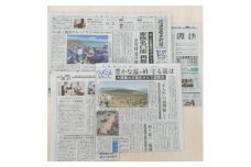 信濃毎日新聞(諏訪版)1ヶ月分【1415084】