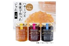 ハチミツと果実で作った ジャム 3本セット_ はちみつ 蜂蜜 ジャム 果実 無添加 ノンシュガー マーマレード イチゴ ブルーベリー セット 3種 手土産 お取り寄せ 贈答 ギフト 人気 おすすめ 送料無料 【1415672】