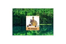 茅野駅から桜平駐車場までのフリー乗車券(ジャンボタクシー)【1419924】