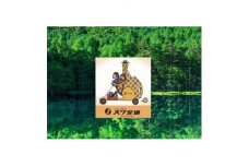 茅野駅から白駒池入口駐車場までのフリー乗車券(普通車)【1419955】