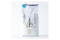 霧ヶ峰高原からの伏流水が育んだお米「信州茅野　米沢吉田米」精米 10kg(10kg×1個)【1448096】
