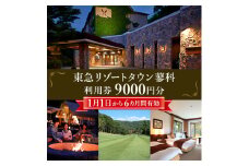 東急リゾートタウン蓼科利用券(1,000円分×9枚)2025年1月1日から6か月間有効チケット【1422228】