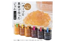 ハチミツと果実で作った ジャム 6本セット　2023_ はちみつ 蜂蜜 ジャム 果実 無添加 ノンシュガー マーマレード イチゴ 苺 ブルーベリー リンゴ フランボワーズ マンゴー セット 6種 手土産 お取り寄せ 贈答 ギフト 人気 おすすめ 送料無料 【1449371】