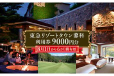 東急リゾートタウン蓼科利用券(1,000円分×9枚)2025年8月1日から6か月間有効チケット【1421747】