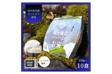 霧ヶ峰の水が育んだお米(レンジアップごはん)10個【1492421】