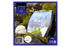 霧ヶ峰の水が育んだお米(レンジアップごはん)20個【1492423】