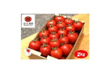 トマト好きにはたまらない濃厚な味の中玉トマト【1522131】