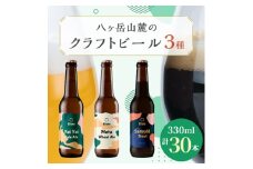 八ヶ岳山麓のクラフトビール　3種飲み比べ30本セット(冬季限定黒ビール入り)【1569774】