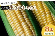 ＜先行予約＞八ヶ岳生とうもろこし 約350g×8本　〈2025年7月下旬～9月下旬発送予定〉【1574950】