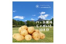 八ヶ岳農場 じゃがいも　10キロ【1584466】