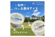 八ヶ岳農場 バニラ&生ソフトクリームアイス 味比べセット　各3個・2種類(合計6個)【1600483】