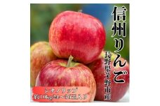 ＜2025年先行受付＞長野直送!信州八ヶ岳のりんご シナノリップ約10kg(24～36玉)蓼科高原【1605262】