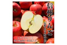 ＜2025年先行受付＞長野直送!信州八ヶ岳のりんごシナノスイート約10kg(24～36玉)蓼科高原【1605263】