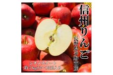 ＜2025年先行受付＞長野直送!信州八ヶ岳のりんごシナノスイート約5kg(12～18玉)蓼科高原【1605264】
