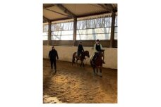 乗馬体験＜レッスン1回コース＞【1602396】