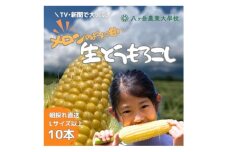 ＜先行予約＞メロンのように甘い 生とうもろこし 10本　「味来」「サニーショコラ」【1643138】