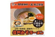 信州みそラーメン3人前1パック 米こうじ味噌 信州タケヤみそ 渡辺製麺 生麺 太麺 スープ付き【1644769】