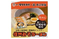 信州みそラーメン3人前×3パック 米こうじ味噌 信州タケヤみそ 渡辺製麺 生麺 太麺 スープ付き【1657424】