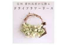 信州八ヶ岳の麓から贈るドライフラワーリース Sハーフ(グリーン)【1659526】