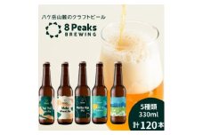 ＜パーティー・イベントに!＞八ケ岳山麓のクラフトビール　おまかせ120本＜複数個口で配送＞【4073919】
