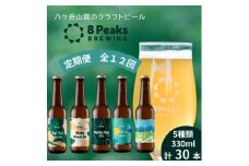 ＜毎月定期便＞大満足!八ヶ岳山麓のクラフトビール飲み比べ30本セット＜合計360本＞全12回【4073921】