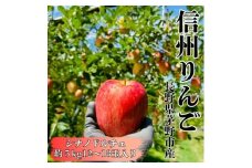 ＜2026年先行受付＞長野直送!信州八ヶ岳のりんごシナノドルチェ約5kg(12～18玉)蓼科高原果物【1665924】