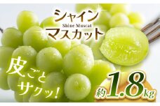 【2025年 先行予約】 シャインマスカット 1.8kg 2025年9月下旬～順次発送予定 塩尻市産 | シャイン ぶどう 葡萄 ブドウ くだもの 果物 フルーツ マスカット しゃいん ますかっと 先行 先行予約 旬 塩尻 長野 信州