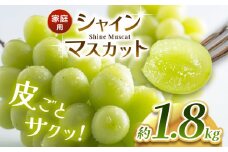 【2025年 先行予約】 【ご家庭用】 【数量限定】 農家さん応援企画！！ シャインマスカット 1.8kg 2025年9月下旬～順次発送予定 塩尻市産 | シャイン ぶどう 葡萄 ブドウ くだもの 果物 フルーツ マスカット しゃいん ますかっと 先行 先行予約 旬 塩尻 長野 信州