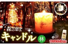 森の恵みキャンドル（林）＆アロマオイルセット（ヒノキ台座付き）｜キャンドル ヒノキ アロマオイル 天然 リラックス 森林浴 インテリア 雑貨 塩尻市 長野県