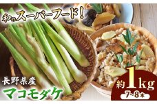 【先行予約】完全自然栽培マコモダケ 約1kg 【9月中旬～発送予定】|マコモダケ まこもだけ マコモ たけのこ トウモロコシ 長野県 塩尻市