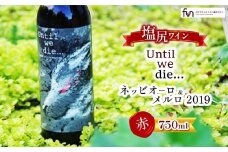 Until we die… ネッビオーロ＆メルロ 2019 | お酒 酒 おさけ ワイン おすすめ 長野県 塩尻市